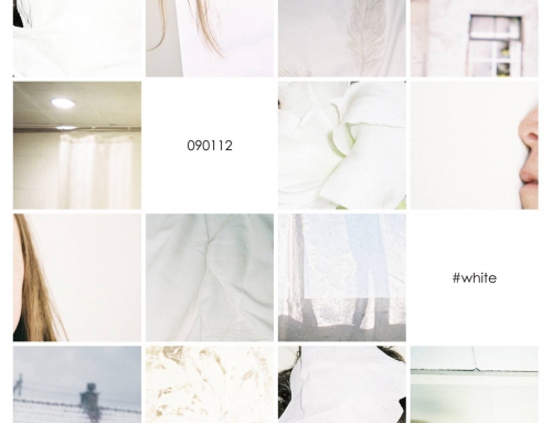 16 Days in White