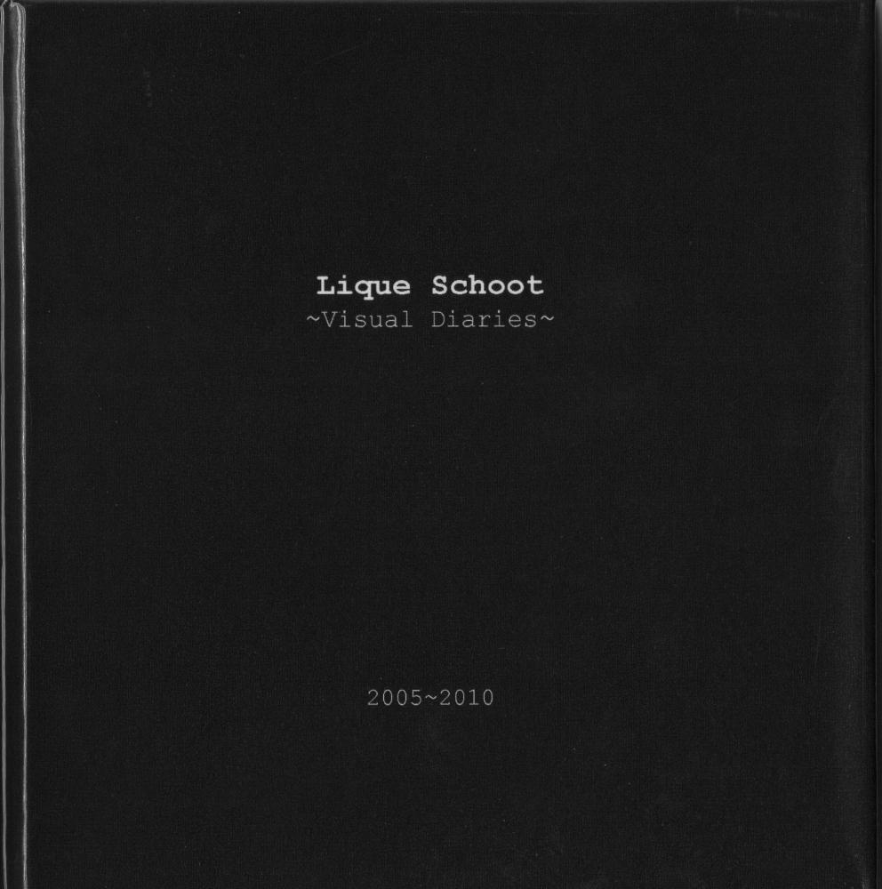 Catalogue Visual Diaries 2005-2010