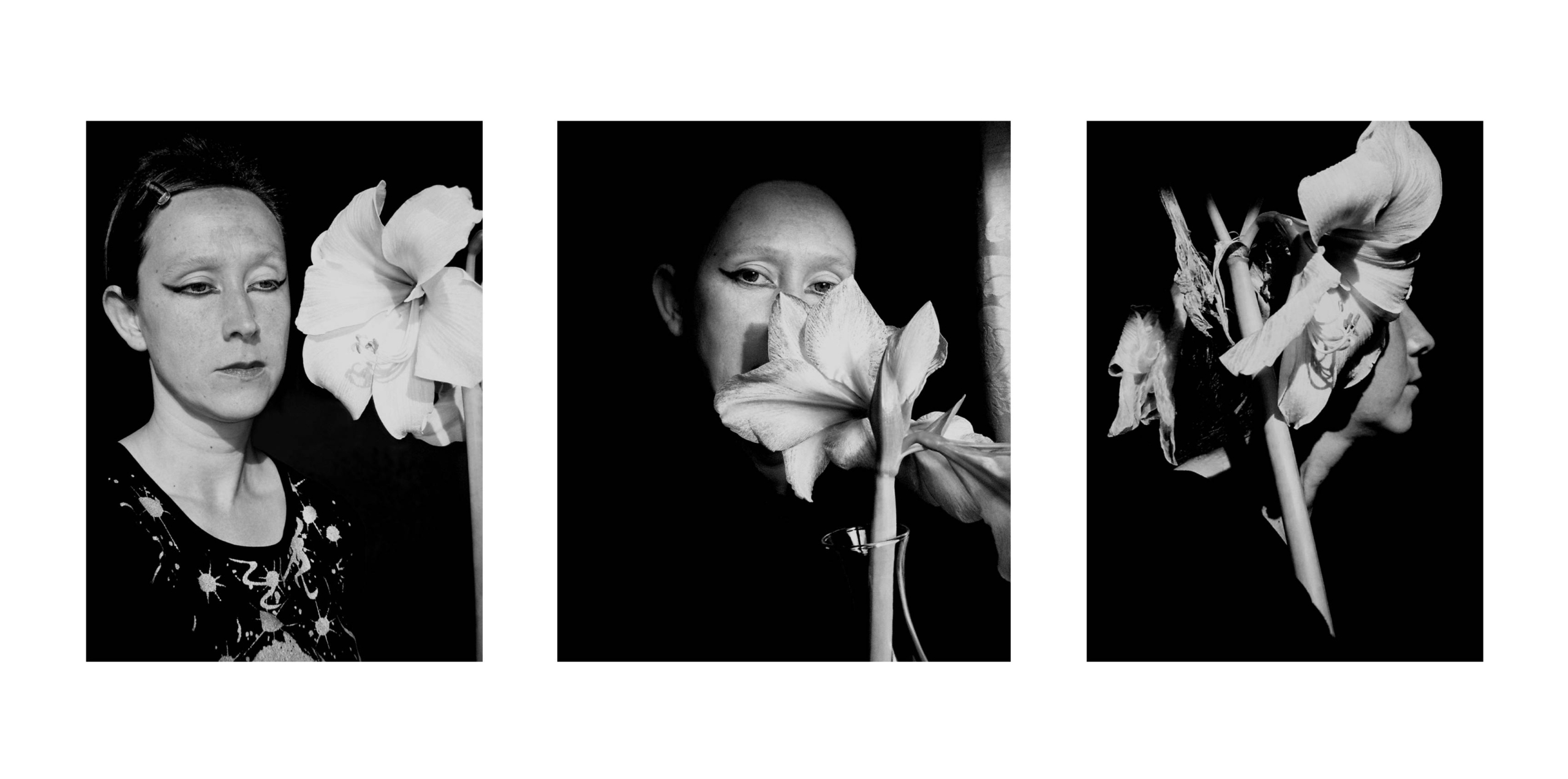 3 Days with an Amaryllis (2007-2009)