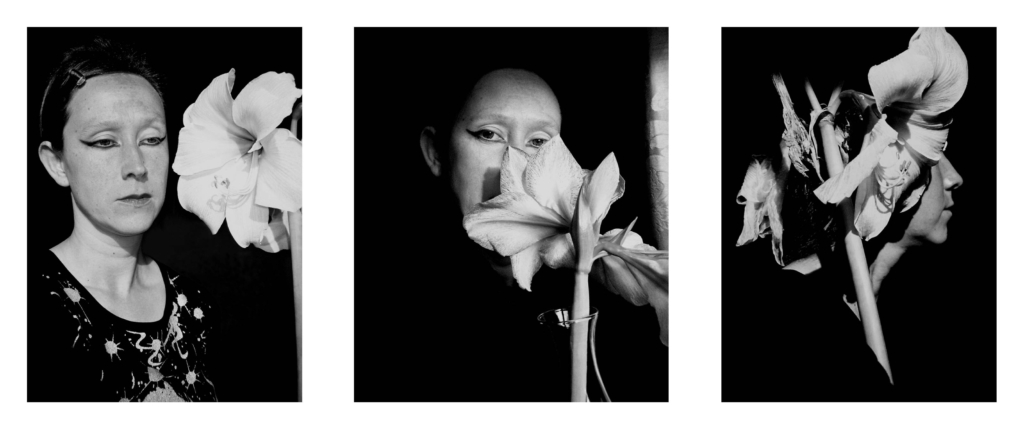 3 Days with an Amaryllis (2007-2009)