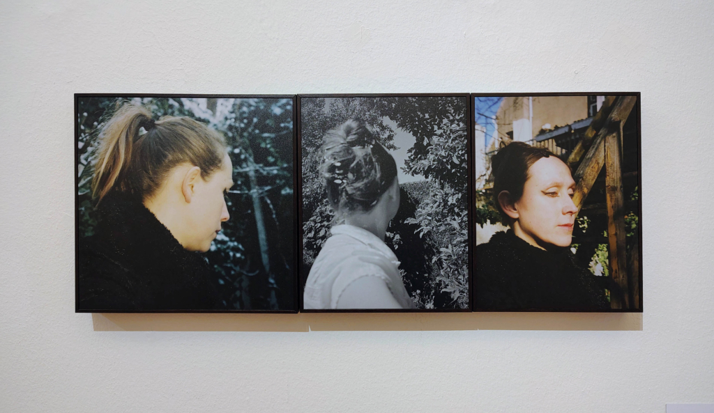 The Garden The Garden